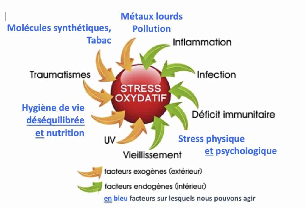 Qu'est-ce que le stress oxydatif ? Et comment le combattre