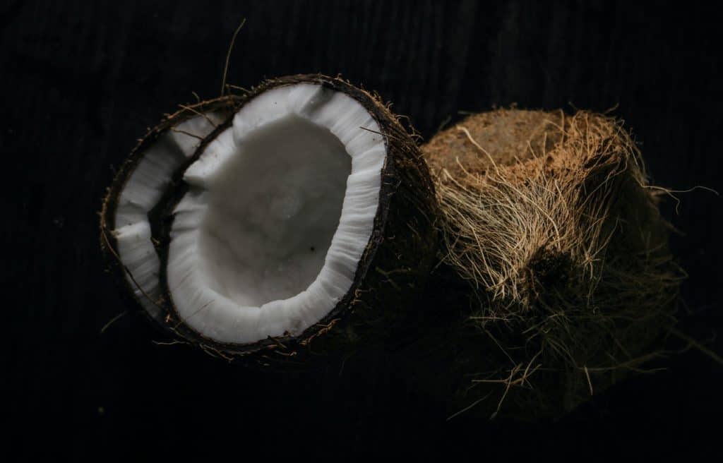 La vérité sur la noix de coco : est-ce la meilleure noix à casser ?