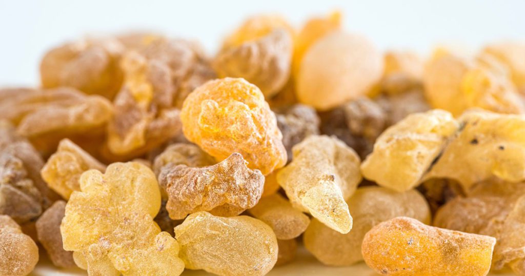 Boswellia : Ce qu'il faut savoir sur cette résine