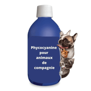 La phycocyanine pour animaux de compagnie contribue au bon fonctionnement de l’organisme de votre animal et favorise son bien-être.