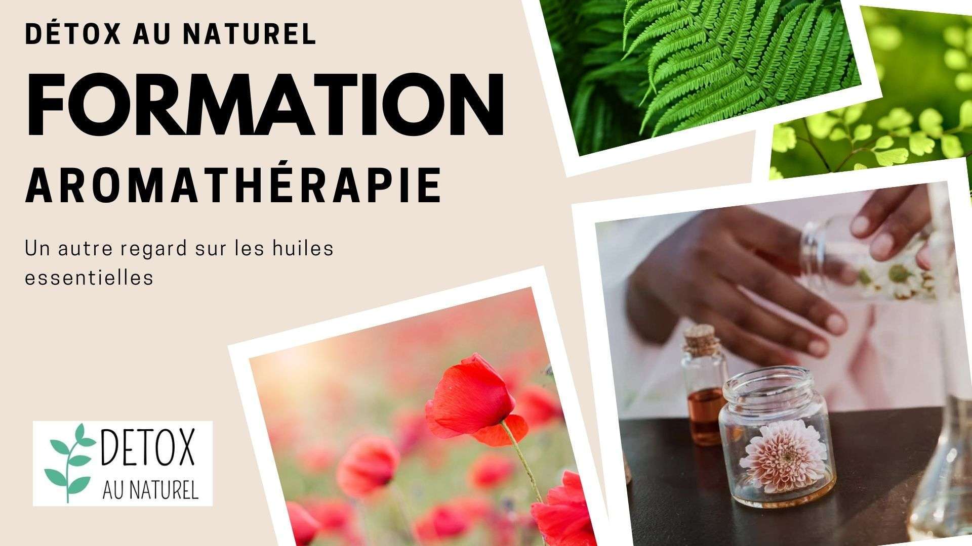 Formation Aromathérapie : Huiles essentielles