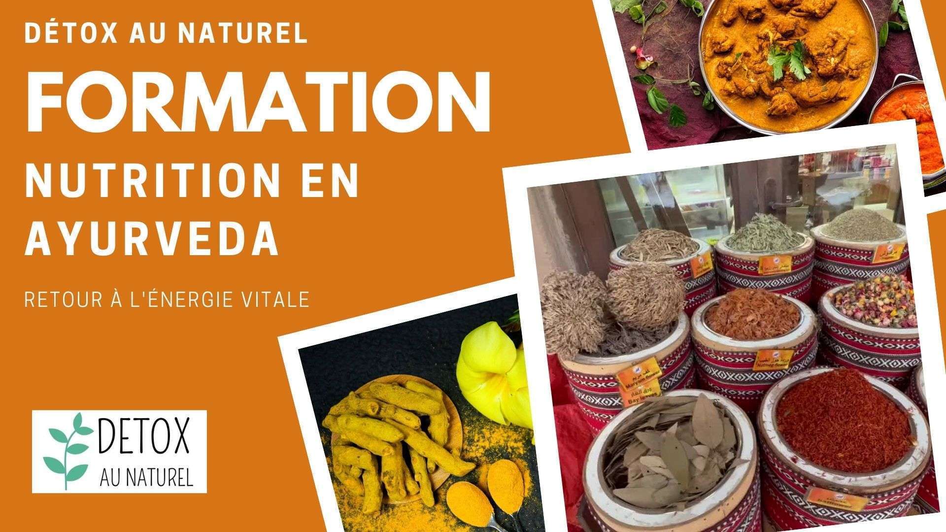 Formation Nutrition en Ayurveda : Principes de Santé Naturelle